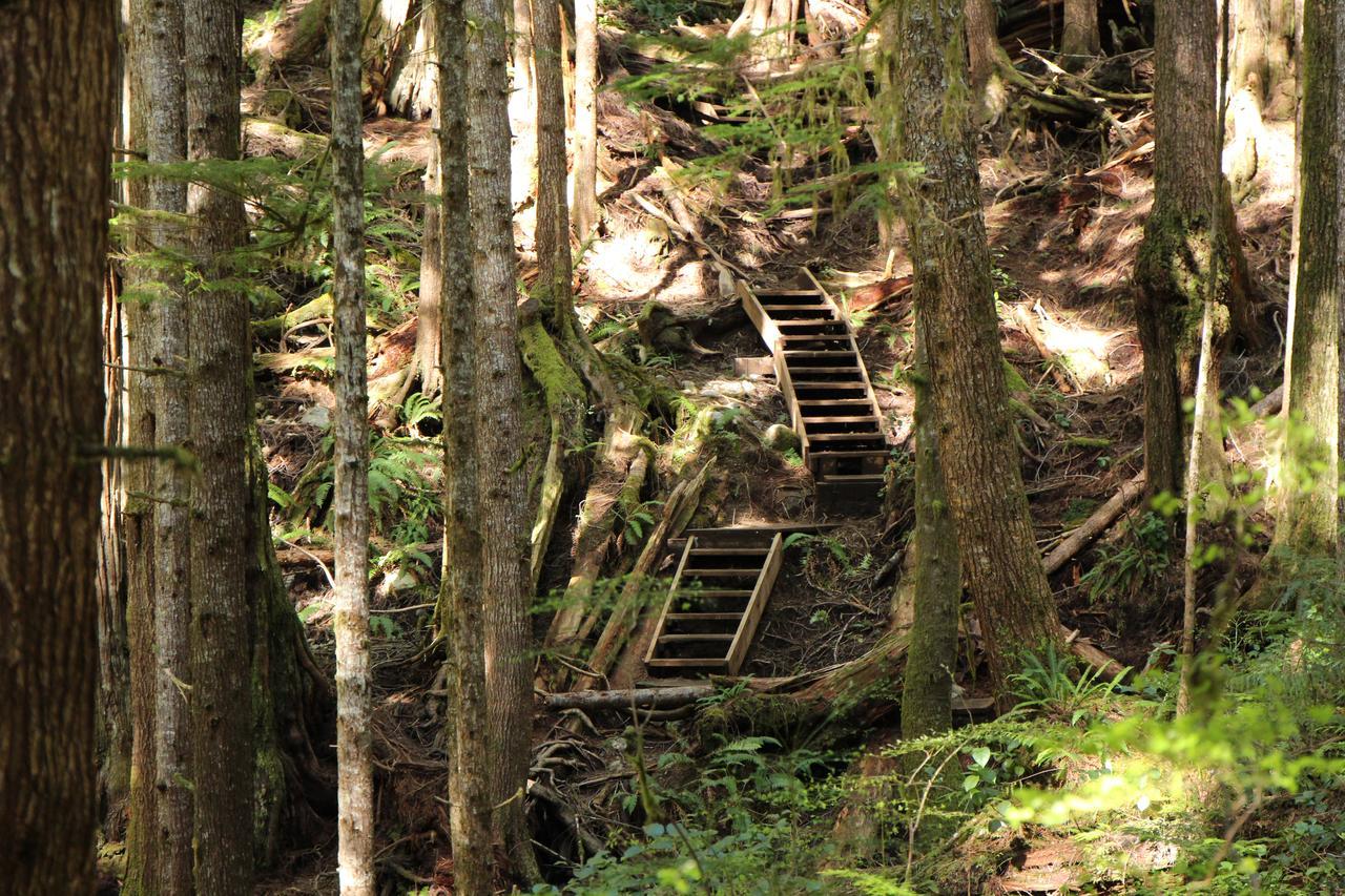 Tilby'S Rainbow Cottage Port Renfrew Bagian luar foto