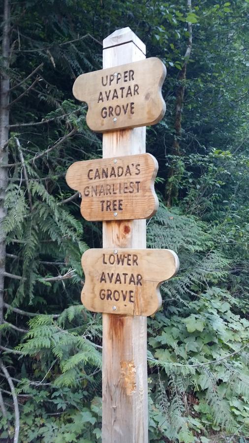 Tilby'S Rainbow Cottage Port Renfrew Bagian luar foto
